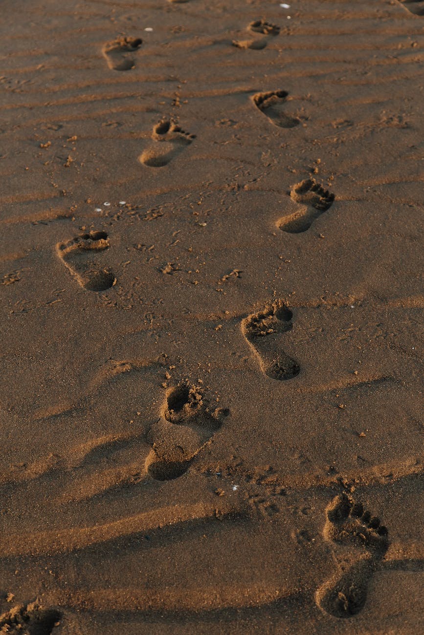 WHAT HAVE WE BEEN&nbsp;DOING?